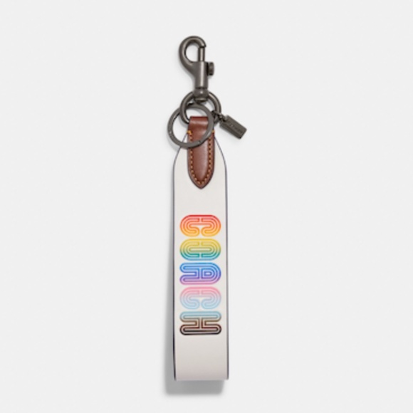 SALE NEW Coach Rainbow Large Leather Loop Wrist Keyring Purse Charm Dog Leash - Picture 11 of 12
